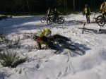1620431_254707078039384_1331834601_n.jpg