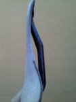 IMG183.jpg