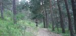 P0000025_redimensionar.jpg