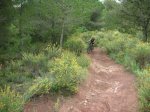 DSCN0900.JPG