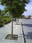 DSC00038.JPG