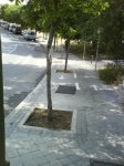 DSC00039.JPG
