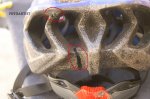 Casco 002.jpg