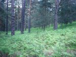 P0000070_redimensionar.JPG