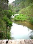 DSCN0250.jpg