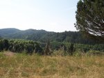 paisaje 2.JPG