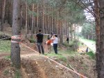 m_IMG_0114.jpg