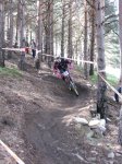 m_IMG_0240.jpg