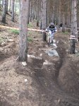 m_IMG_0243.jpg