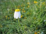 m_IMG_0146.jpg