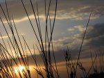 m_IMG_0167.jpg