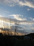 m_IMG_0163.jpg