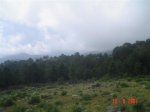 DSC04896 (Medium).JPG