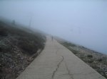 IMG_9006.JPG