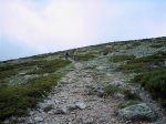 IMG_9010.JPG