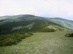 IMG_9016.JPG