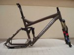 Mondraker1.JPG