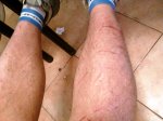 Imagen067.jpg