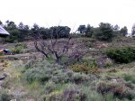 Imagen064as.jpg