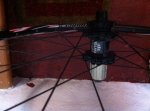IMG_1479.jpg