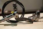 DSC08771.JPG