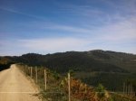 2013-10-20 12.49.35.jpg