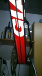 bici 207.jpg