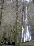 (2)64A.jpg