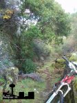 100_6212.JPG