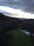 IMG_1484.JPG
