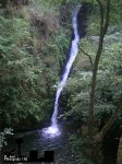 DSCN3074.JPG