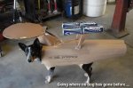 star-trek-dog.jpg