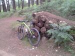 2013-06-29 11.05.47.jpg