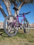 DSC04664.JPG