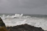_DSC0890.JPG