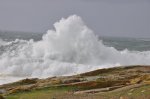 _DSC0878.JPG