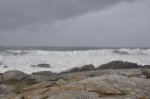 _DSC0907.JPG