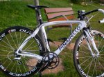 Chinarello 005.jpg