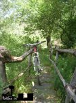 DSCN2818.JPG