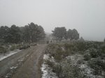 20140209_115322.jpg
