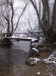 IMG_20140209_114901.jpg