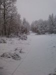IMG_20140209_114931.jpg