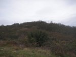 PICT0021.JPG