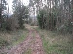 PICT0022.JPG