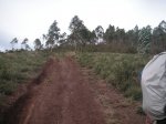 PICT0035.JPG