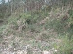 PICT0044.JPG