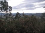 PICT0046.JPG