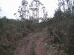 PICT0063.JPG