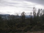 PICT0073.JPG