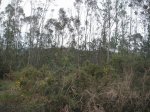 PICT0076.JPG